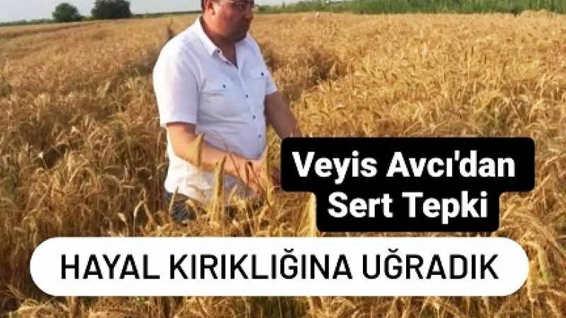 Veyis Avcı: 'Açıklanan Buğday ve Arpa Fiyatları Hayal Kırıklığı Yarattı'