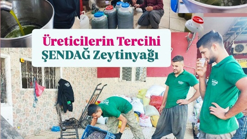 Tarsus’ta Zeytin Üreticilerinin Tercihi Şendağ Zeytinyağları