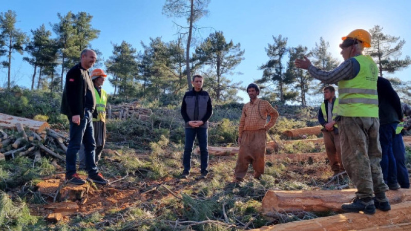 Orman Bölge Müdürü Ataş, Tarsus’ta İncelemelerde Bulundu