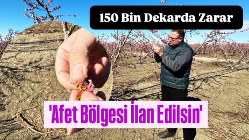 Tarsus'ta 150 Bin Dekar Alan İmha Oldu, Avcı Afet Bölgesi İlan Edilmesini İstedi