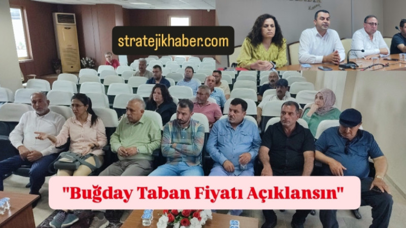 Tarsus Ziraat Odası'nda Buğday Taban Fiyatı Mesaisi