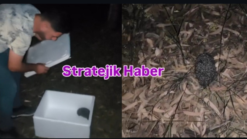 Mahalle Sakinleri İstedi, Koordinasyon Ekipleri Yerine Getirdi 