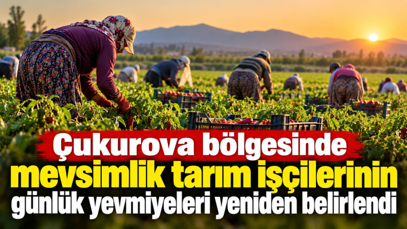 Tarsus Paketleme ve Tarım İşçilerinin Yevmiyelerinde Yeni Tarife