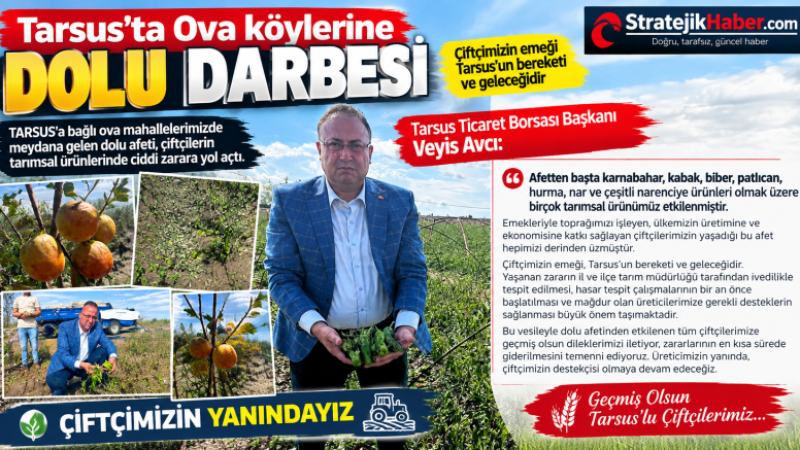 Tarsus'ta Ova köylerindeki Ekili alanları Dolu vurdu