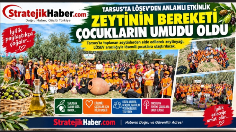 Tarsus'tabZeytin Hasadı Lösemili Çocuklara Şifa Oluyor
